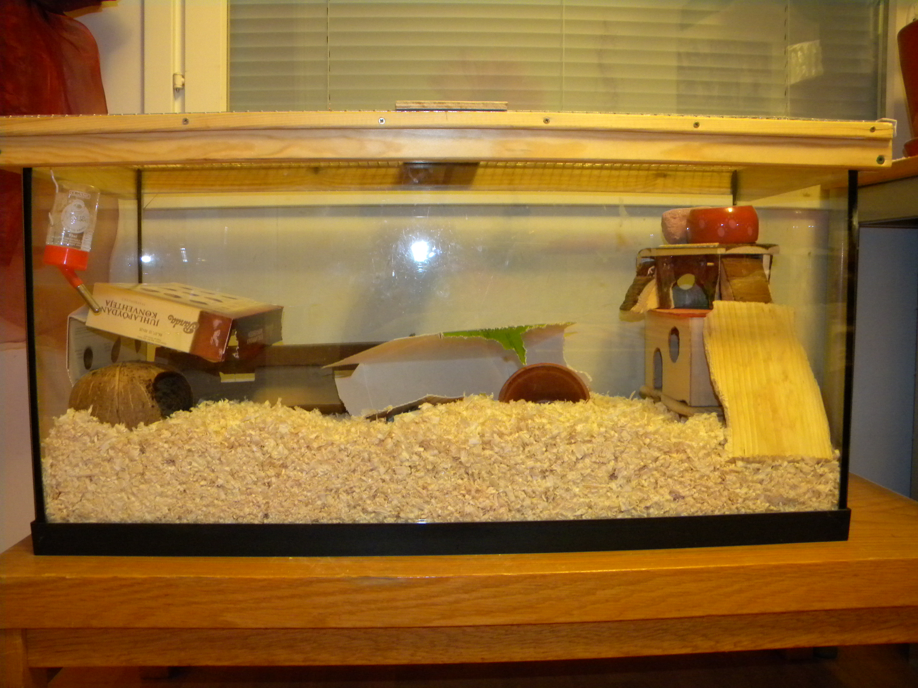 fish tank for gerbils